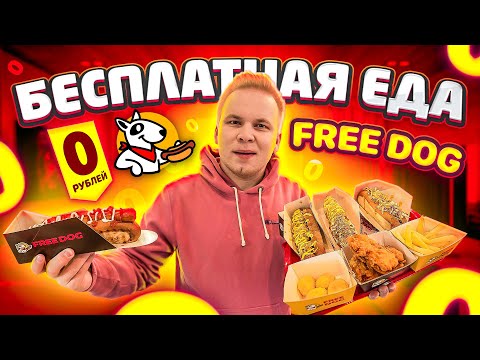 Видео: Бесплатная Еда в Москве! /Хот-Дог За 0 РУБЛЕЙ КАЖДЫЙ ДЕНЬ! / Free Dog от Директора Black Star Burger