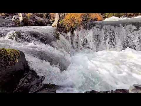 Видео: Звуки Природи для Твого Сну та Відпочинку|