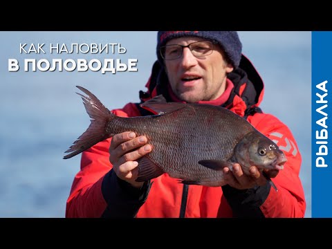 Видео: Что МОЖНО и НЕЛЬЗЯ делать в ПОЛОВОДЬЕ на рыбалке