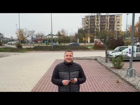 Видео: Многие создания не имеют мира /1181/ Мария говорит практические вещи