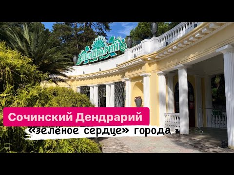 Видео: Сочинский дендрарий. Ноябрь 2024 г.