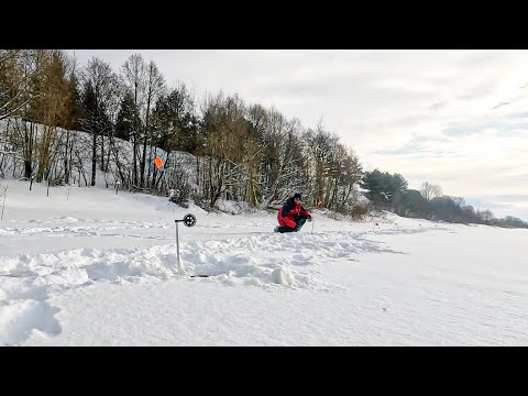 Видео: ТОЛЬКО ПЕРЕСТАВИЛ жерлицы в ТРАВУ, как СРАЗУ ЗАГАРЫ! Рыбалка  на реке, щука зимой в 2024