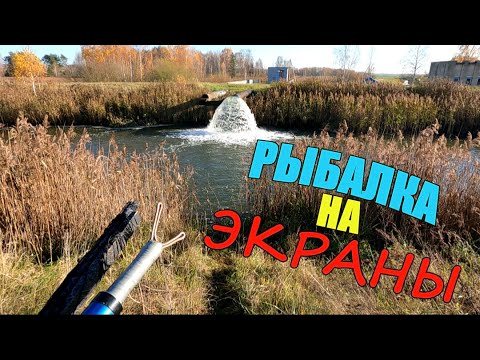 Видео: К такому я оказался НЕ ГОТОВ!!! Рыбалка на экраны.
