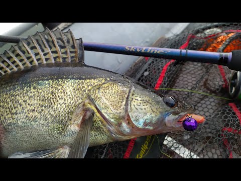 Видео: ✅Новий Skyline напоров СУДАКІВ!😍 Пошуки окуня і судака ВЕСНОЮ!