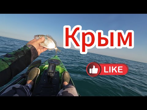 Видео: Крым Орловка Ловим Ласкиря