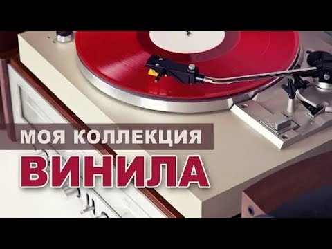 Видео: Моя Коллекция Виниловых Пластинок | 2025 | My Collection Of Vinyl Records