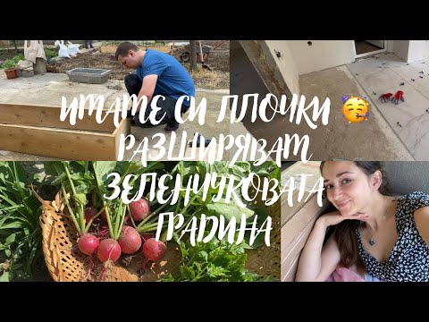 Видео: КЪЩА НА СЕЛО || ПЛОЧКИТЕ СА ПОЧТИ ГОТОВИ🥳 || РАЗШИРЯВАМЕ ЗЕЛЕНЧУКОВАТА ГРАДИНА 🪴