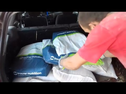 Видео: Стартовый корм для поросят. Классная база за покупку мешка премикса дают ещё два сверху :)