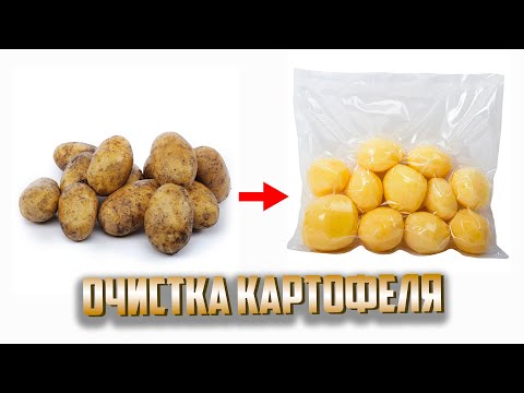 Видео: КАК ОЧИСТИТЬ 1000 ТОНН КАРТОФЕЛЯ С ПОМОЩЬЮ СОВРЕМЕННОЙ МАШИНЫ | Линия по очистке картофеля
