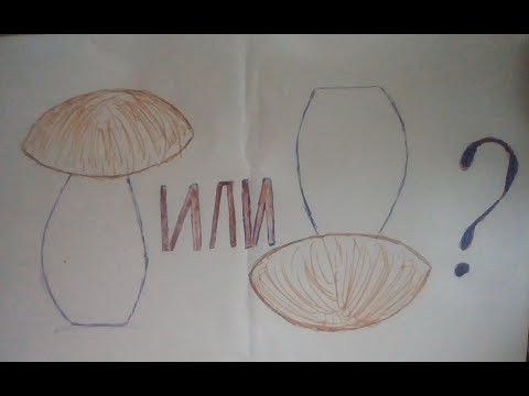Видео: ТАЙНА ОПЯТ или ПОЧЕМУ ГОРЧАТ ГРИБЫ?