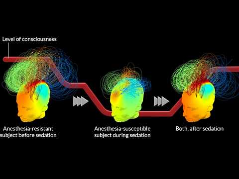Видео: Выяснилось безумное! Квантовая физика говорит, что сознание точно бессмертное