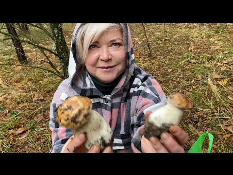 Видео: Вот это и я понимаю утречко! Нам говорили что грибы 🍄‍🟫 будут расти везде,но такого мы не ожидали! 