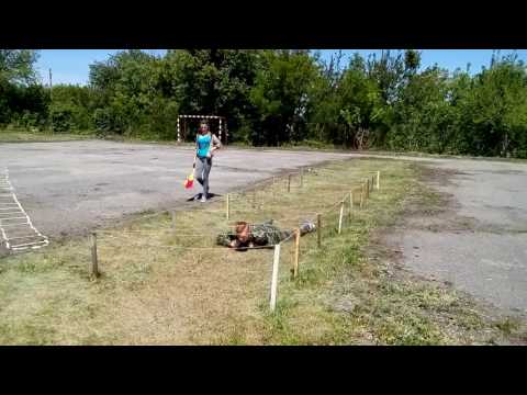 Видео: Смуга перешкод 3