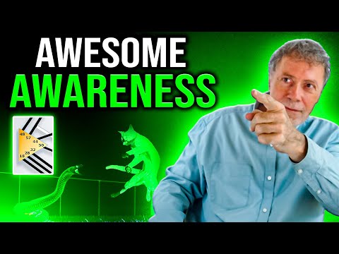 Видео: Осознание селезенки в системе Дизайна Человека