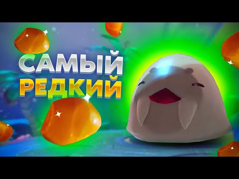 Видео: Slime Rancher 2. САБЛЕЗУБЫЙ ГОРДО И САМЫЙ РЕДКИЙ РЕСУРС!
