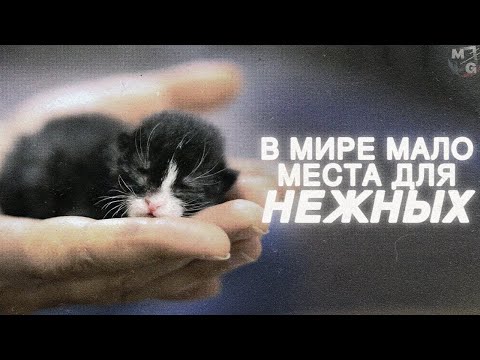 Видео: ВЫСОКОЧУВСТВИТЕЛЬНЫЕ люди. Как ВЫЖИТЬ в этом безумном мире (English Subs)