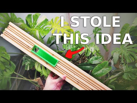 Видео: Лучшие модульные доски для растений