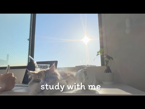 Видео: 🌅 ЗАНИМАЙТЕСЬ СО МНОЙ!  / 1 час / Расслабляющая музыка и восход солнца в Японии
