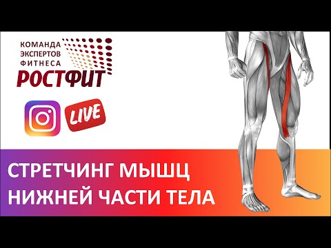 Видео: Растяжка мышц ног - запись эфира от 12 ноября 2020 в @rostfit