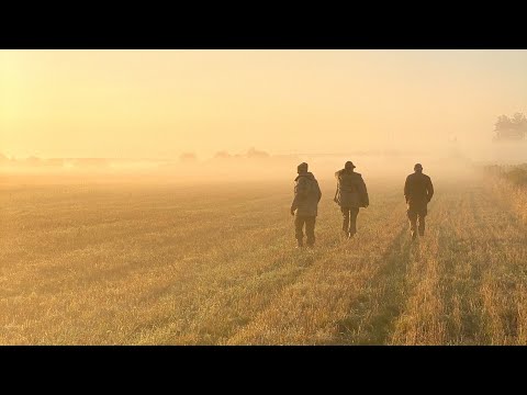 Видео: Охота с подхода на оленя