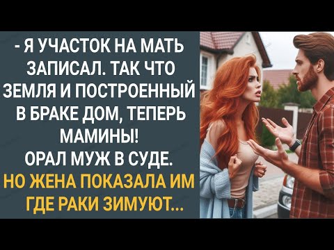Видео: "Я участок на мать записал, так что земля и построенный в браке дом теперь мамины". Орал муж в суде.