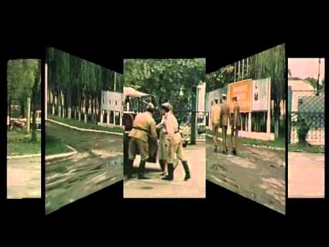 Видео: ХОНИ - ЦУЛУКИДЗЕ 2.avi