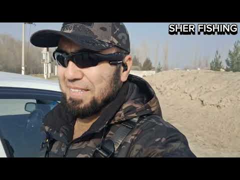 Видео: Балик ови. 12-январь 2025-йил