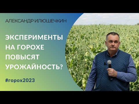 Видео: Эксперименты на горохе повысят урожайность? | Агроном о главных ошибках и технологии выращивания