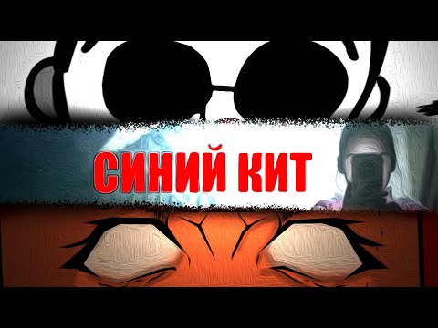Видео: РАЗОБЛАЧЕНИЕ СИНИЙ КЭТ с ZLOYMAN