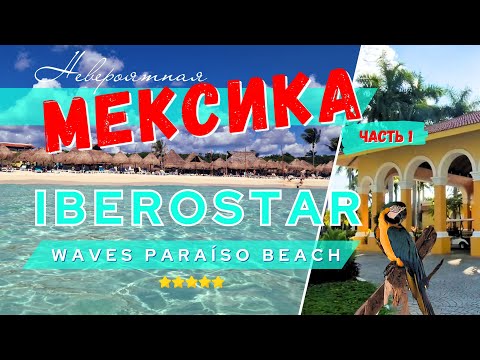 Видео: Путешествие в Мексику 🌵🤠. Обзор Отеля Iberostar Paraiso Beach. Все включено. Riviera Maya. Часть 1