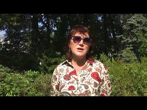 Видео: Как ухаживать за голубикой осенью