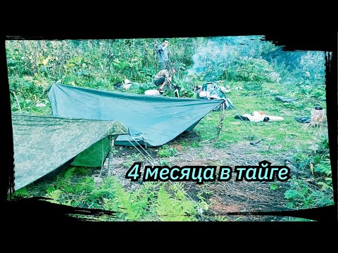 Видео: 4 Месяца в Тайге. Все серии подряд. Сезон 2024 г. Серии 4-6.