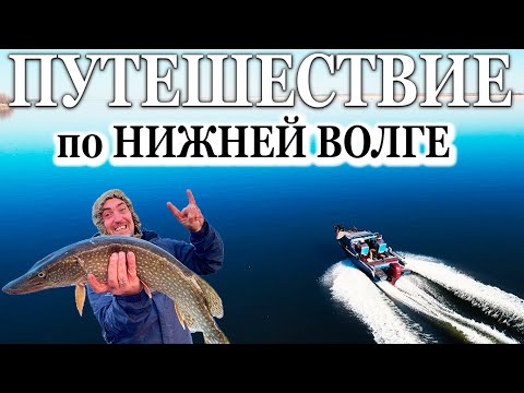 Видео: Путешествие по реке Волга. ШУЛЮМИМ! Пытаемся поймать КРОКОДИЛОВ!