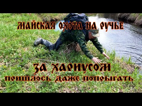 Видео: ФОРЕЛЬ И ХАРИУС В МАЕ 2025