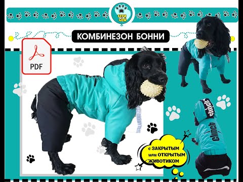 Видео: Шьем комбинезон для собаки