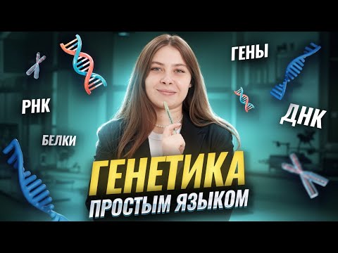 Видео: Как работают гены | ДНК, РНК и белки простым языком | Биология ЕГЭ | Умскул