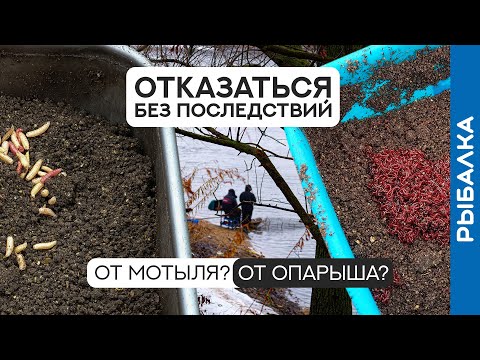 Видео: КАКОЙ компонент в прикормке НЕ ВЛИЯЕТ на клёв? Весенний эксперимент!