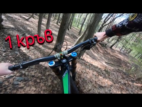 Видео: КАРАНЕ НА ВИТОША