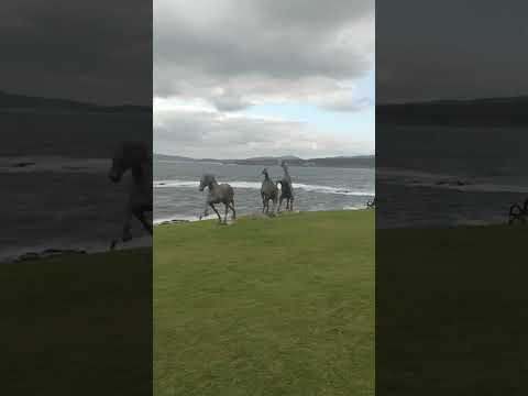 Видео: Созопол хотел Арт Комплекс Анел; Sozopol Hotel Art Complex Anel;