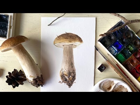 Видео: Лесная находка. Пишем боровик акварелью. Draw a boletus with watercolor