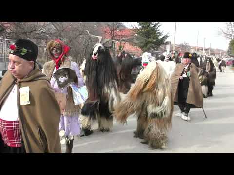 Видео: Варвара Дервиши     01.01.2024