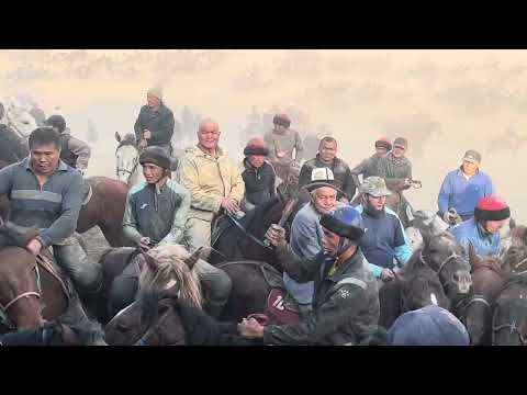 Видео: 2 ноября 2025 г.