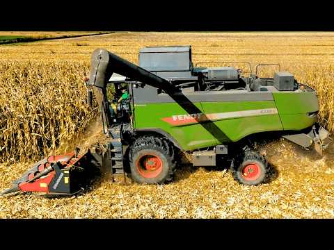 Видео: УРОЖАЙ КУКУРУЗЫ 2024 FENDT 6335 + DOMINONI