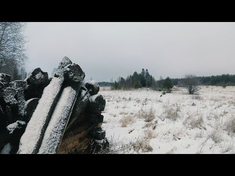 Видео: Заброшенная деревня в Карелии.
