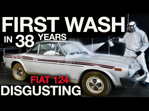 Видео: Первая мойка за 38 лет: брошенный Fiat 124. Отвратительные детали биологической опасности!