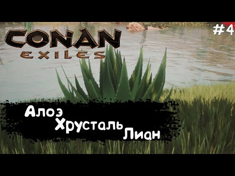 Видео: Conan Exiles Прохождение #4 Топ места для Алоэ Крусталя и Поймал Лиана
