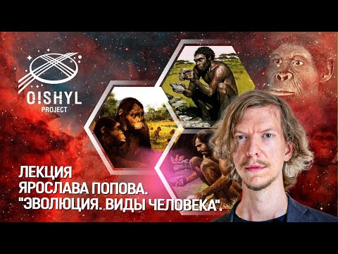 Видео: Эволюция. Виды человека. Лекция Ярослава Попова