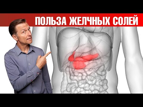 Видео: 9 плюсов приема очищенных желчных солей✅