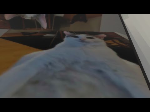 Видео: сборник белуги @TXPStudio #реки #белуга 4 часа