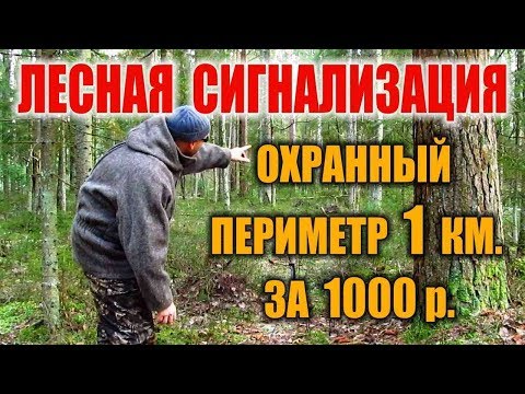 Видео: Охранная сигнализация в лесу. Как сделать сигнализацию - Система предупреждения от хищников и людей.